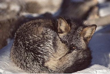 TGA 2022提名&历年获奖作品 现已在Steam开启特卖