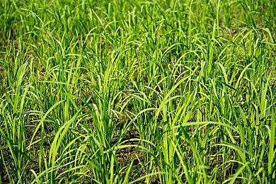 《半条命》经典MOD续作《冰雪大战》上架Steam 清凉度夏